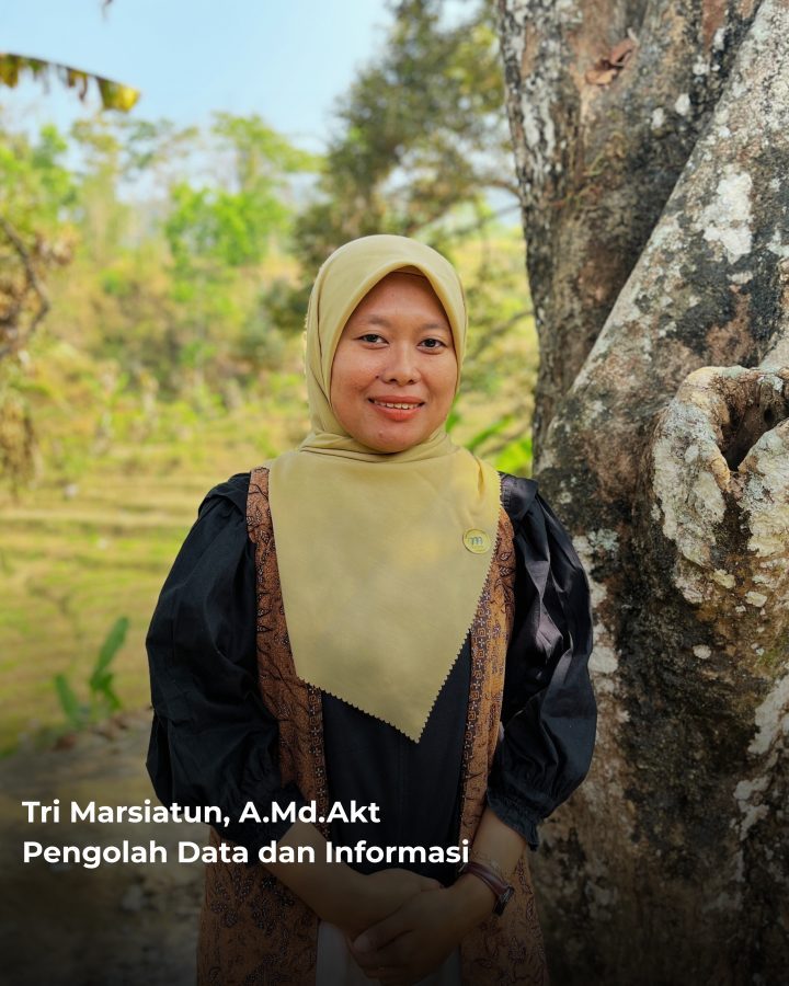 Tri Marsiatun, A.Md.Akt, Pengolah Data dan Informasi